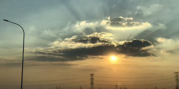 阳高悦旭技术优势
